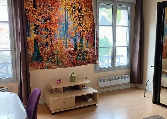 Le Cheval Blanc Sur Le Loir 公寓 拉尚特苏勒洛