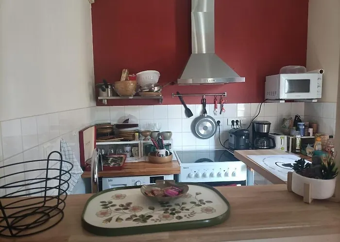 Le Cheval Blanc Sur Le Loir *